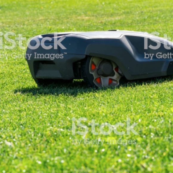 Robot tondeuse bois et jardin saint renan